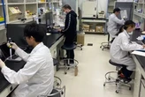 Японія першою у світі створюватиме людські ембріони зі стовбурових клітин, але є умова