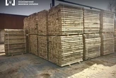На Київщині викрито схему незаконного експорту цінної деревини: проведено понад 60 обшуків