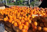 У Києві 16-21 червня відбудуться продовольчі ярмарки (адреси)