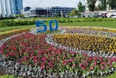 На Оболоні з'явилася тематична клумба до 50-річчя району (фото)