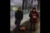 Дітей не пустили до сховища у школі під час тривоги: директорка назвала причину