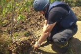 У Запорізькій області знешкодили 90 старих мін та снарядів