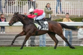 Arrivée du quinté du mercredi 29 octobre à Auteuil : Semper Fortis de bout en bout