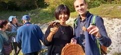 « Aucune appli ne remplace les sens pour identifier les champignons » : des animations gratuites dans l’Eure