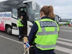 « Un trafic de fourmi » : près de 8 tonnes de tabac saisies par les douanes de Picardie depuis le début de l’année