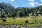 Pour défendre leurs intérêts, les bergers des Pyrénées-Orientales s’organisent syndicalement