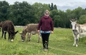 « Un bout de campagne et de joie qui disparaît » : à Chennevières-sur-Marne, les ânes tirent leur révérence