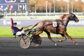 Arrivée du quinté du mardi 4 novembre à Vincennes : Kaline de Vivoin tient sa victoire