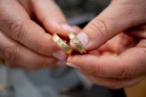 « Je n’y croyais pas » : 15 ans après, un Américain retrouve une bague perdue dans une plantation de sapins de Noël