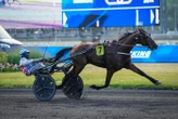 Arrivée du quinté du vendredi 13 juin à Paris Vincennes : Ibis Quick ou la forme de Romain Derieux