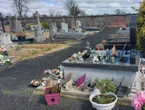 « C’est très intrigant » : des ossements humains dissimulés retrouvés dans une tombe près de Toulouse