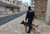 Policiers municipaux de Villeneuve-Saint-Georges en garde à vue : leurs chiens laissés sans eau ni nourriture pendant plusieurs heures