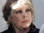 « J’ai tiré des conclusions de la commande d’un cercueil » : Aqababe s’explique après avoir annoncé à tort la mort de Brigitte Bardot