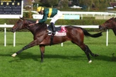 Arrivée du quinté du mardi 21 octobre à Clairefontaine : Kalaoun s’impose en force, son jockey file vers la Cravache d’or