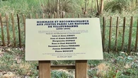 Rhône : la plaque en hommage aux Justes de Villeurbanne arrachée, les élus dénoncent un « un geste lâche »
