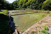 Dans l’Eure, un site abandonné depuis plus d’un siècle a été racheté à Paris pour devenir « la Capitale du Cresson »