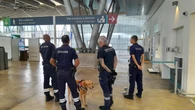 La Réunion : une « mule » interpellée à l’aéroport, elle cachait 2,5 kg de cocaïne dans ses parties intimes