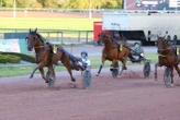 Arrivée du quinté du vendredi 29 août à Cabourg : Jack des Ass comme prévu