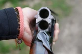 Val-d’Oise : un chasseur tire accidentellement sur son voisin… en visant une pie