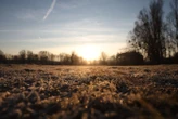 Froid : des températures proches de 0 en Île-de-France mardi matin, un risque de gelée dans le Nord-Est