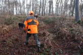 Leur chien « ne servait pas à la chasse » : deux Espagnols condamnés pour avoir pendu et jeté leur animal dans un ravin