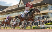 Hippisme : Ici C’est Paris rêve déjà grand