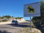 Près de Marseille, des panneaux sur l’autoroute A 55 pour signaler la présence de chèvres sauvages !