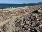 « C’est un peu la honte » : le Bocal du Tech, plage de rêve dans le chaos d’un chantier de nettoyage tardif