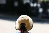 « Traumatisés par les dix jours de canicule », des scientifiques réclament une « loi d’urgence climatique »