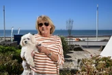 Touche pas à ma vue à La Baule : des riverains contre les plantations d’arbre au nom du « droit au soleil »