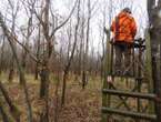 « Vous pouvez les reconstruire, nous repasserons » : une vingtaine de miradors de chasse détruits par des activistes dans l’Yonne