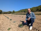 De l’agave pour une tequila made in Occitanie à la place des vignes inadaptées au réchauffement climatique