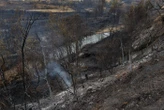 Incendie dans l’Aude : le feu pourrait être éteint dans les prochains jours