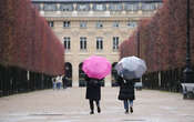 Sécheresse : une pluie bienvenue, mais trop tardive 