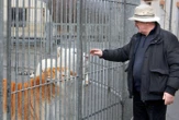 Condamné en janvier pour mauvais traitement sur «ses» tigres, le dompteur Mario Masson est décédé