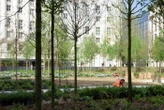 Et si vous deveniez jardinier de la Ville de Paris ? 80 postes sont à pourvoir