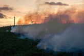 Feux de forêt : Gard, Bouches-du-Rhône, Vaucluse… Six départements du sud de la France en « danger très élevé » d’incendies
