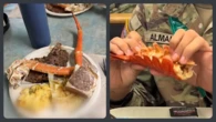 VIDÉO. Langouste et steak au menu de soldats américains : non, ce n’est pas le dernier repas avant la guerre