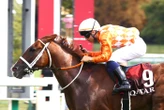 Arrivée du quinté du dimanche 7 septembre à ParisLongchamp : Chaldero honore son statut de favori