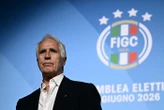 En pleine Coupe du monde, le foot italien élit son nouveau président