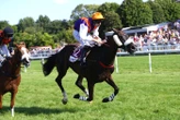 Arrivée du quinté du lundi 28 juillet à Clairefontaine : Showly ouvre son palmarès