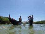 Charente-Maritime : la Seudre et son estuaire se découvrent en pirogue polynésienne