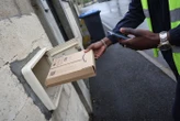 Poursuivi pour avoir abîmé une Porsche en fuyant trois chiens, un livreur obtient gain de cause en Allemagne