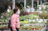 Décès d’une fillette liée aux pesticides : la famille se pourvoit en cassation