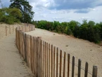 Marne : la sablière de Châlons-sur-Vesle, « ceinturée » pour être préservée, fait face au vandalisme et au scepticisme