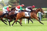 Arrivée du quinté du mardi 13 mai à Saint-Cloud : Riyabovka brille d’emblée