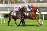 Arrivée du quinté du jeudi 9 octobre à Saint-Cloud : Seona persiste et signe