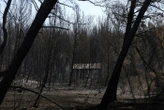 Martigues : l’incendie qui a ravagé près de 250 hectares est désormais fixé