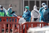 Hantavirus : le cas positif américain est finalement négatif