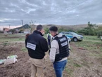 Victime d’un trafic, un éleveur du Doubs retrouve trois de ses chevaux volés en Roumanie